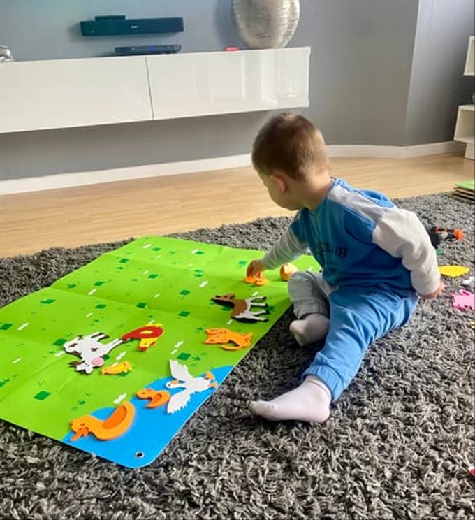 Le Tapis FarmLand ™ – L'univers de la Ferme à Découvrir !